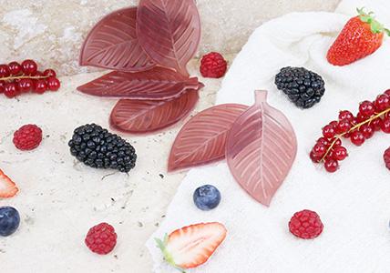 Recette Feuilles de savon Fruits rouges