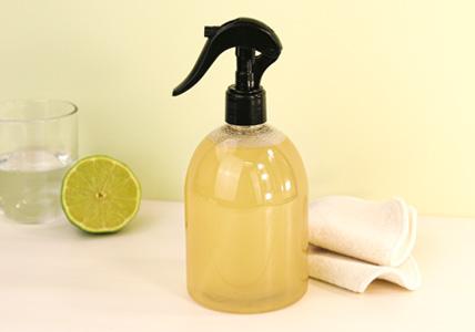 Recette Recette Spray dégraissant naturel pour la cuisine