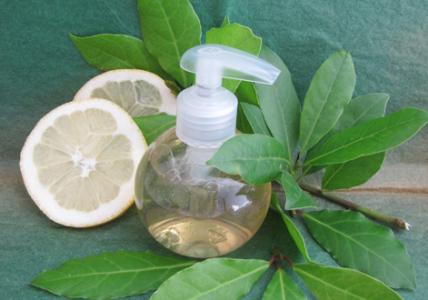 Recette Gel lavant au Laurier purifiant pour les mains