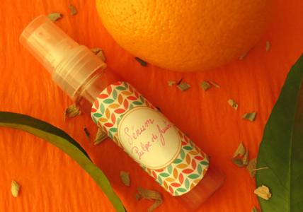 Recette Sérum Pulpe de fruit