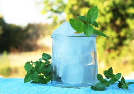 Recette Glaçon fraicheur Menthe poivrée