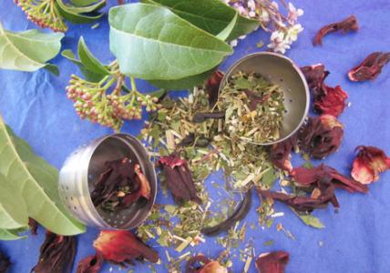 Recette Tisane "Minceur" BIO