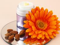 Cold cream anti-froid visage & mains