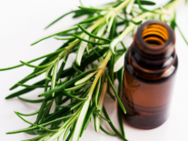 Synergie d'olfactothérapie 