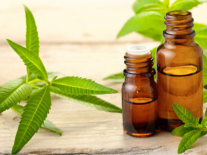 Synergie d'olfactothérapie 