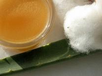 Huile scintillante après-soleil à l'huile végétale de Coton apaisante