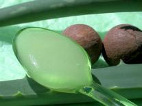 Gel circulatoire pour jambes légères Calophylle et Menthe 