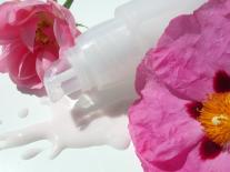 Lait visage démaquillant Ciste & Rose