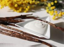 Crème de nuit tout mimosa pour peaux sèches