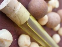 Huile sèche tonique à l'huile végétale de Macadamia