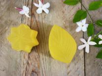 Petits Savons douceur de Lys & Jasmin