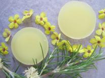 Galets fondants de massage énergétique Kunzea & Fragonia