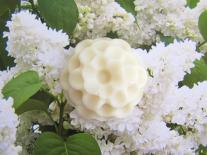 Mon bouquet de fleurs pour le bain : fleur blanche