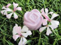 Mon bouquet de fleurs pour le bain : fleur rose