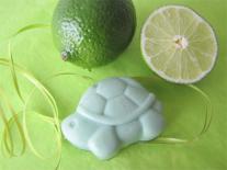 Mon coffre à jouets en savons : tortue