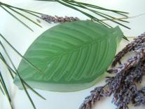 Bloc gelée armoires et placards