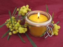 Bougie d'ambiance Authentique Miel de Mimosa