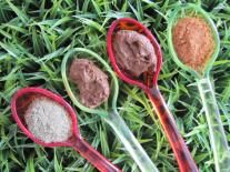 Masque minute ayurvédique 