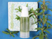 Contour des yeux défatiguant Concombre & Thé vert