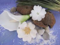 Shampooing solide Fleurs des îles