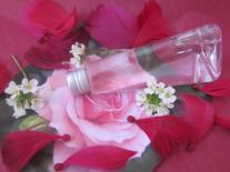 Eau micellaire nettoyante aux fleurs de Rose & Bleuet
