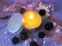 Bougie d'ambiance à offrir Mûre sauvage & graine d'Anis