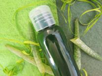 Gel désaltérant fraîcheur à l'Aloe vera visage & corps