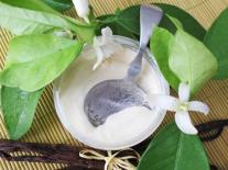 Crème capillaire beauté sans rinçage à la Fleur d'Oranger Hydratation, Démêlage et Protection