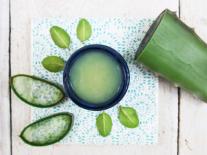 Gelée désaltérante fraîcheur