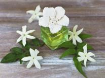 Composition à diffuser Sous les Jasmins