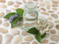 Composition à diffuser Lilas délicat