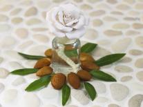 Composition à diffuser Fleur d'Amande