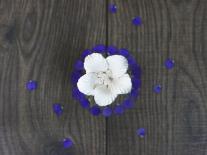 Composition à diffuser Violette & Tubéreuse