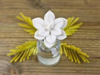 Composition à diffuser Fleur de Mimosa