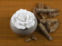 Composition à diffuser Santal blanc