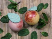 Savon &agrave; croquer Peach