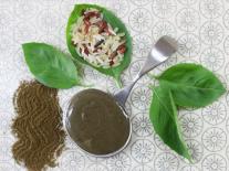 Masque au Ginkgo biloba apaisant et tonique