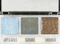 Palette d'ombres à paupières Trésor des Galápagos