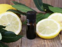 Barrière purifiante 