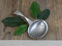 Assouplissant aux huiles essentielles