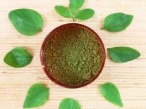 Gommage Moringa purifiant