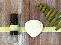 Composition parfumée à diffuser 