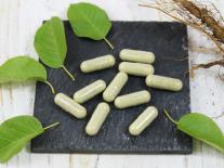 Gélules Tonus & Vitalité 