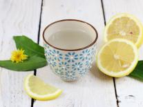 Bain de vapeur aux extraits végétaux purifiants