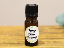 Synergie Energie du Printemps