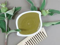 Shampooing végétal 