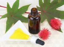 Elixir stimulant barbe plus longue