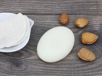 Démaquillant solide Feuille de Figuier