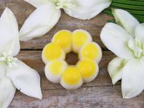 Fleur de Savon Frangipanier