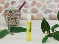 Synergie revigorante